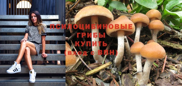 ALPHA PVP Дмитровск