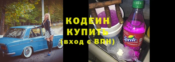 гашик Дмитров