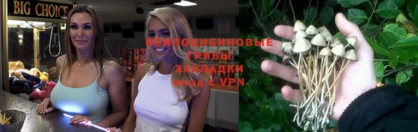прущая мука Дмитриев