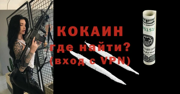гашик Дмитров