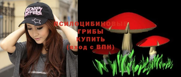 ALPHA PVP Дмитровск
