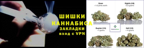 гашик Дмитров