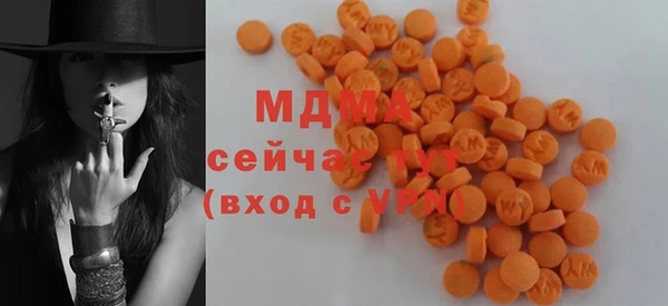 гашик Дмитров