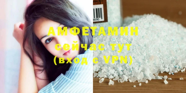 гашик Дмитров