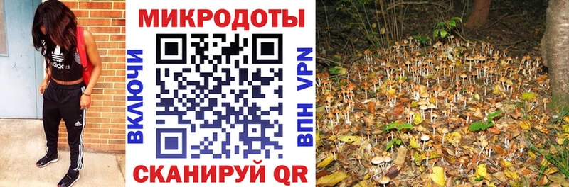 Галлюциногенные грибы GOLDEN TEACHER  где можно купить   Заволжье 